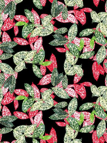 643054-时尚叶子华亿平台