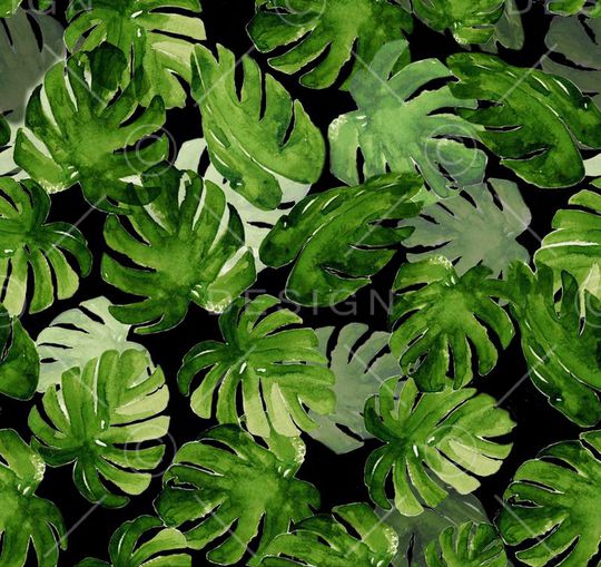 清爽韩国风格印花华亿平台图片