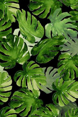 清爽韩国风格印花华亿平台图片