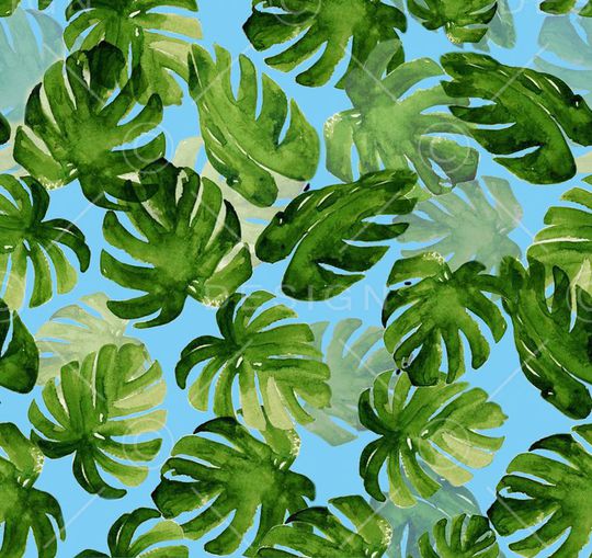 清爽韩国风格印花华亿平台图片