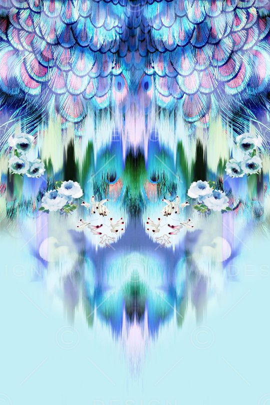 羽毛印花华亿平台图片