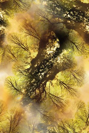 风景印花华亿平台图片