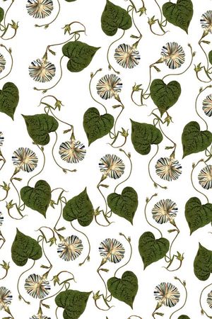 小碎花印花华亿平台图片