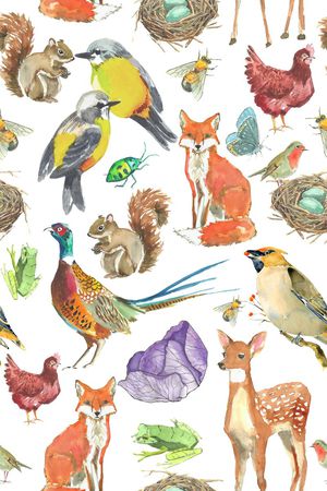 天堂鸟印花华亿平台图片