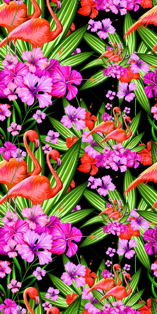 tropical印花华亿平台图片