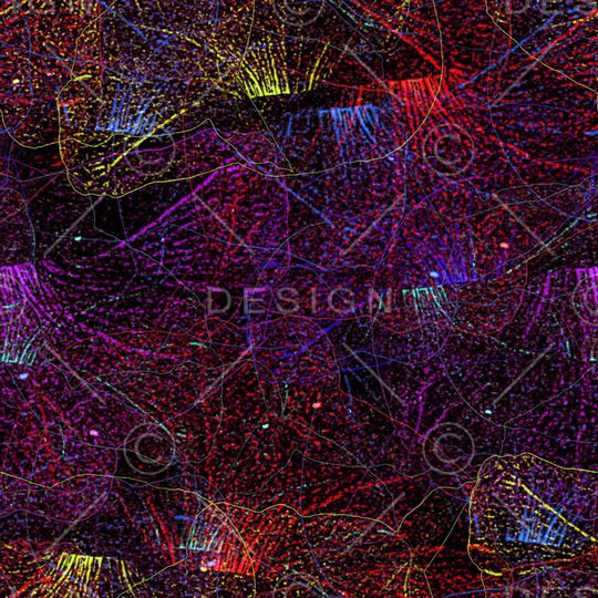 泳装印花华亿平台图片