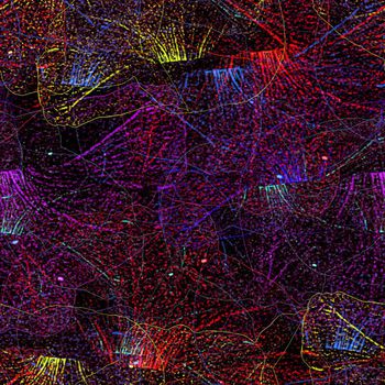 泳装印花华亿平台图片