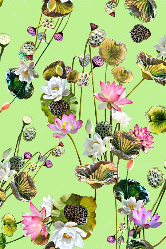 平底印花华亿平台图片