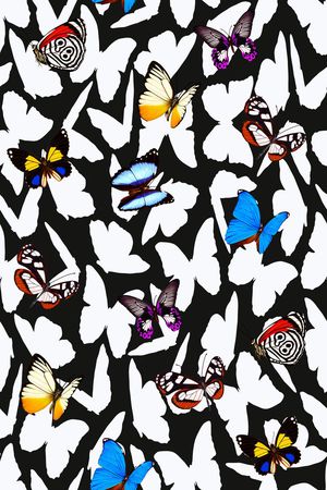 蝴蝶印花华亿平台图片