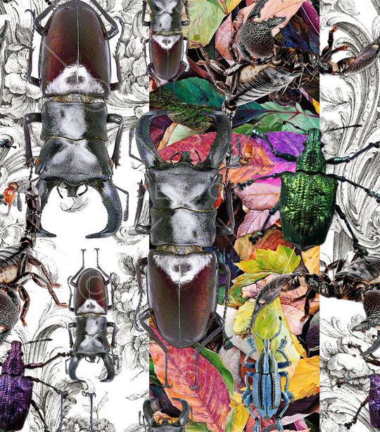 树叶印花华亿平台图片