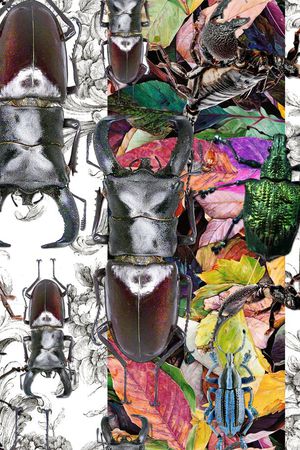 树叶印花华亿平台图片