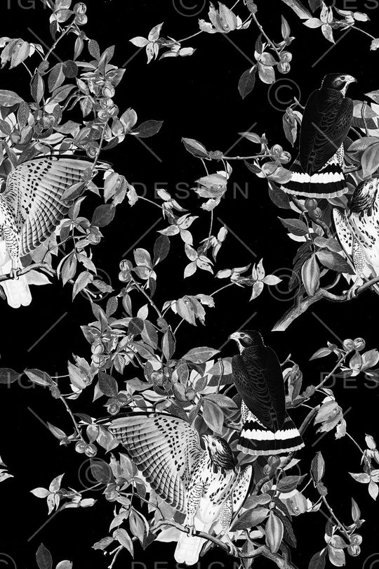 潮流男装印花华亿平台图片