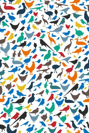 鹦鹉印花华亿平台图片