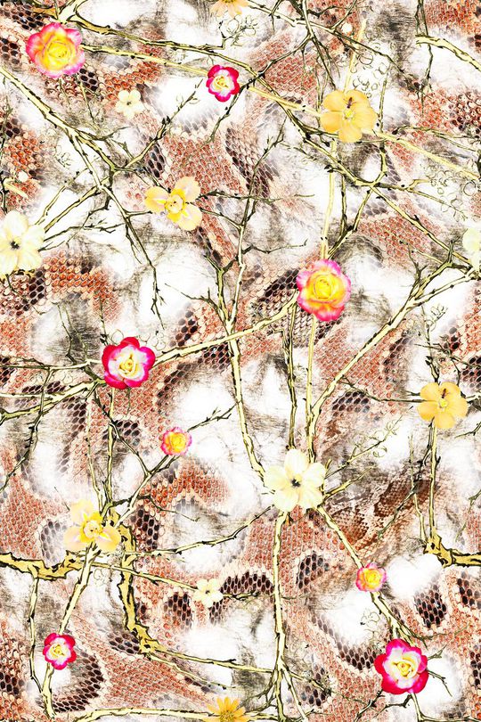 蛇皮印花华亿平台图片