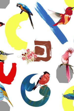 优雅印花华亿平台图片