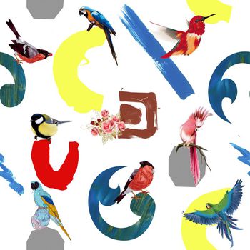 644169-字母鸟儿白底