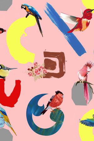 优雅印花华亿平台图片