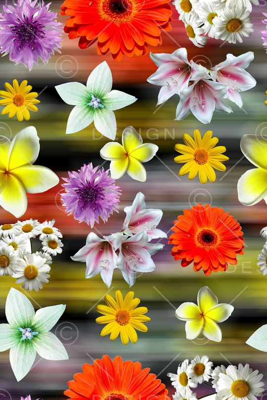 荷花印花华亿平台图片