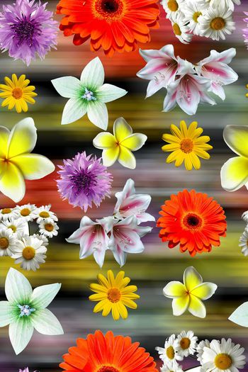 荷花印花华亿平台图片