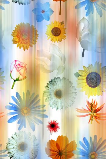 牡丹印花华亿平台图片