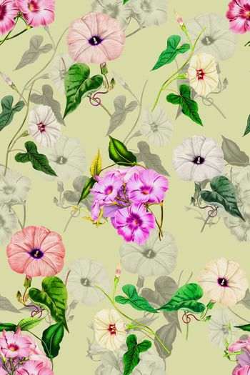 644322-2016-6-3水彩牵牛花1