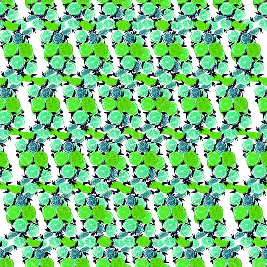 热带印花华亿平台图片