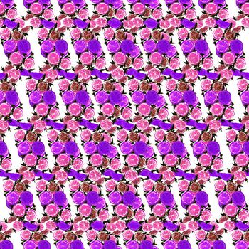 644647-水果柠檬西柠紫