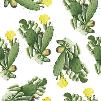 644680-仙人掌 白色底