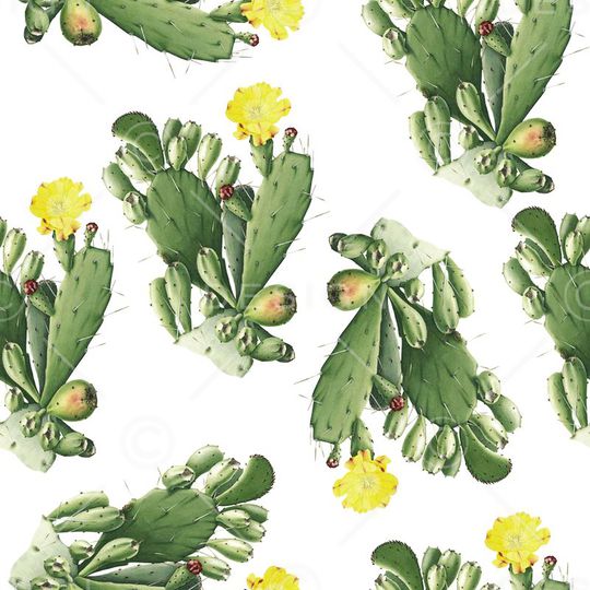 热带印花华亿平台图片