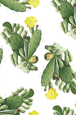 热带印花华亿平台图片