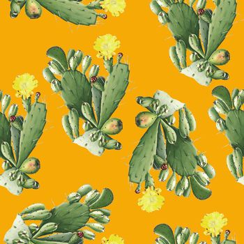 644681-仙人掌 橘红底