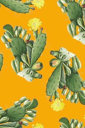 热带印花华亿平台图片