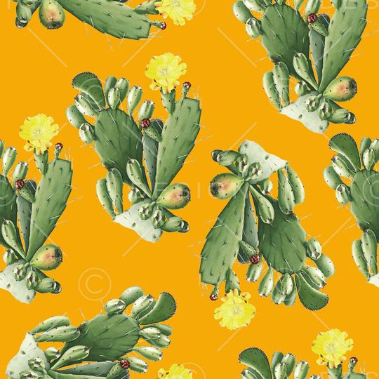 热带印花华亿平台图片