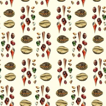 644694-沙滩贝壳蜗牛