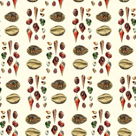 沙滩贝壳蜗牛印花华亿平台图片