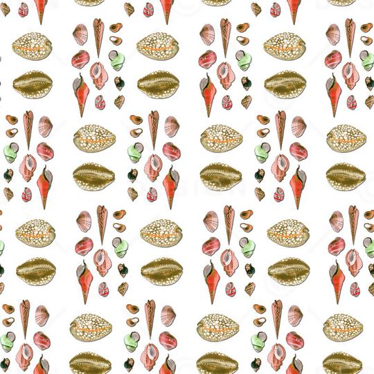 沙滩贝壳蜗牛印花华亿平台图片