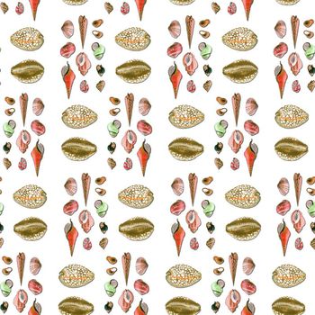 644697-沙滩贝壳蜗牛米