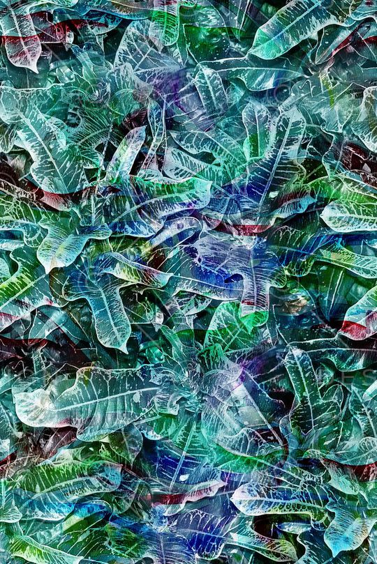 数码印花华亿平台图片