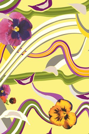 17欧美春夏印花华亿平台图片