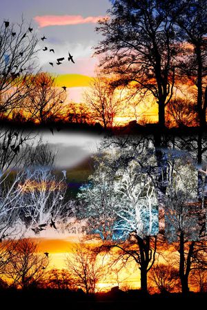 天空印花华亿平台图片