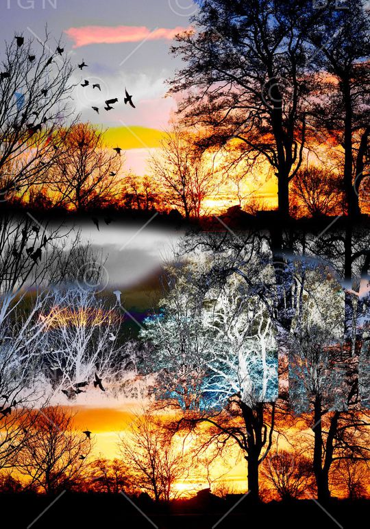 天空印花华亿平台图片