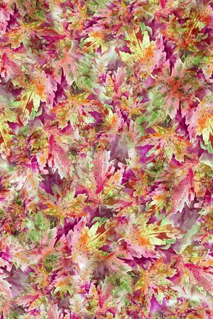 流行时尚印花华亿平台图片