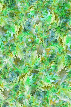 流行时尚印花华亿平台图片