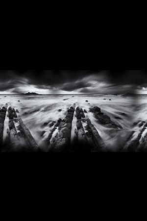 时尚男装印花华亿平台图片