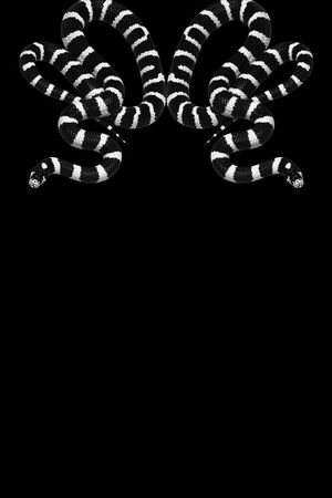 潮流男装印花华亿平台图片