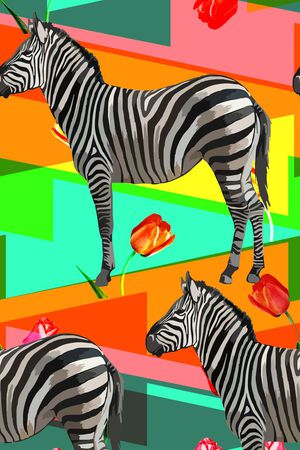 几何条纹色块印花华亿平台图片