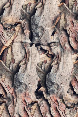抽象、纹理、树皮印花华亿平台图片