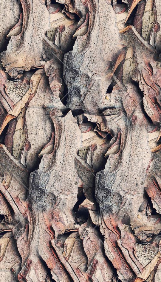 抽象、纹理、树皮印花华亿平台图片