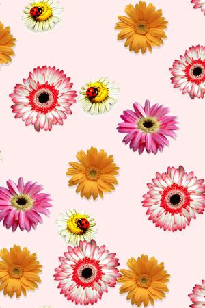 花朵印花华亿平台图片