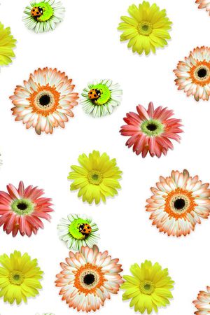 花朵印花华亿平台图片